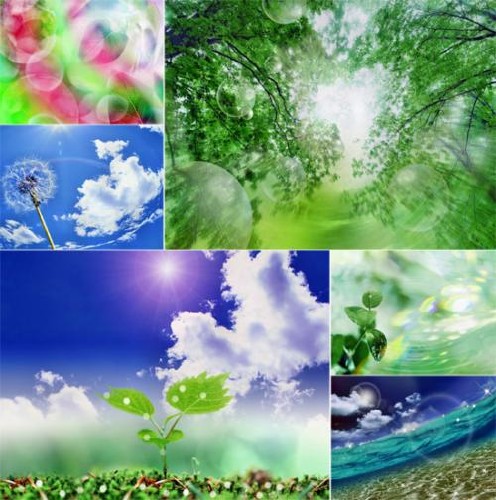 Wallpapers - Greenery. Water & Air Eco Images